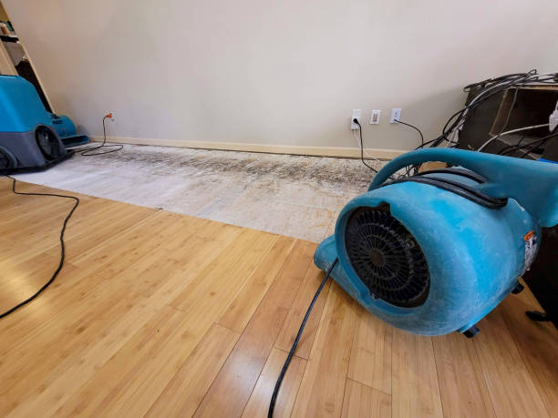 Professional Water Damage Repair technician working in Honea Path, SC